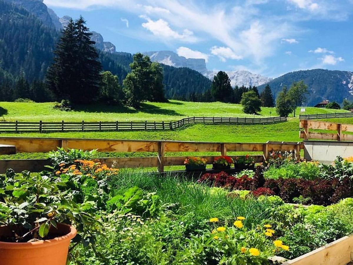 Apartment Moesslhof App Garten *